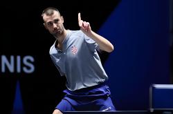 华体会-法国乒乓球队强势中国乒乓球队，张本智和高光表现