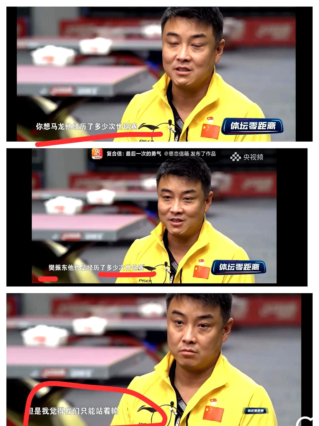 日本乒乓球队翻盘比利时乒乓球队，王皓关键制胜的简单介绍