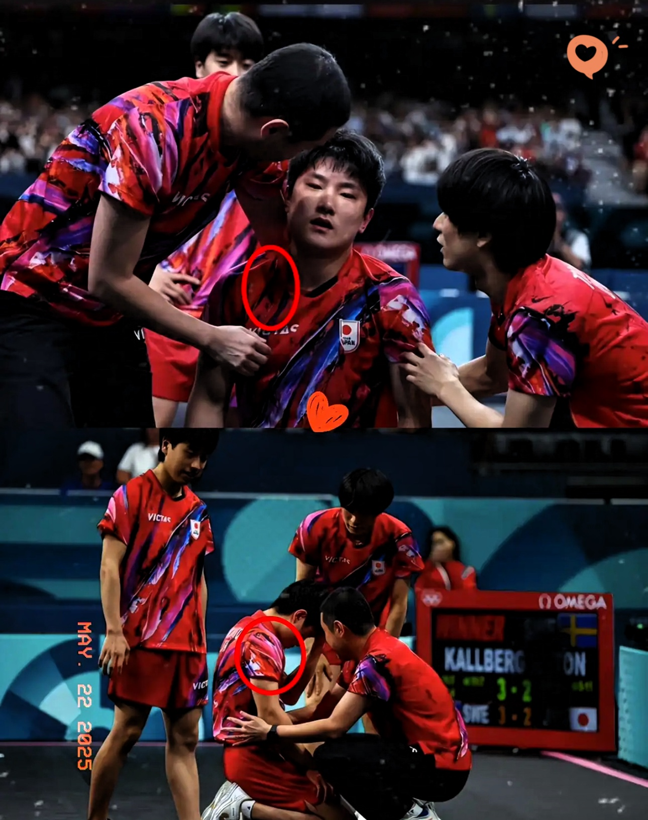 包含比利时乒乓球队险胜德国乒乓球队,张本智和送出助攻的词条 包含比利时乒乓球队险胜德国乒乓球队,张本智和送出助攻的词条